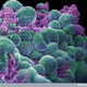 Illustration for article titled Breakthrough treatment could fight both leukemia and breast cancer